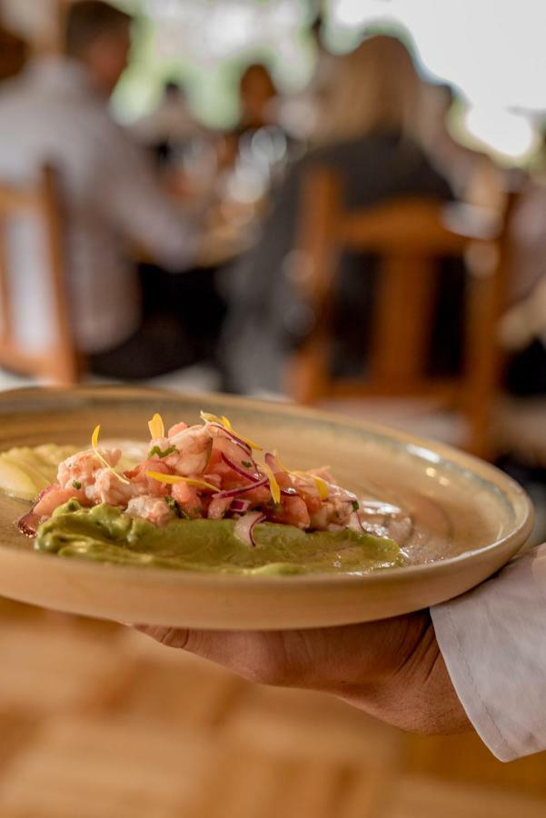 Spring Creek Lodge Junin de los Andes Luaran gambar